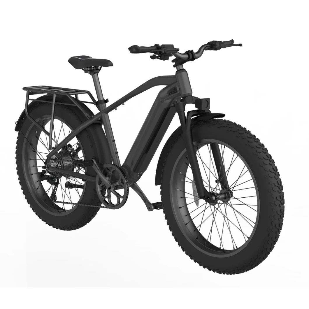 750W 52V Fat Tire Mountain Electric Bike Ebike 5% Discount