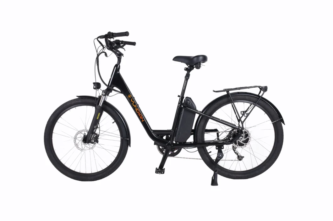 20or22 Inch Ladies Electric Bike / Lightweight Electric City Bike/E Bike