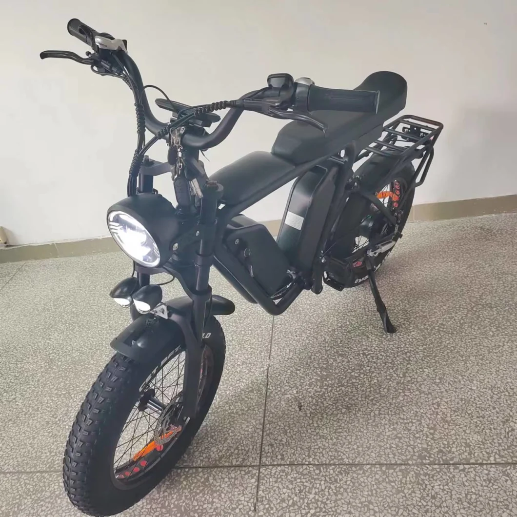 E Bike1000W Motor Dual Battery 48V/22ah*2 Oil Brake Full Suspension 55kmh Fast Electric Fat Bike