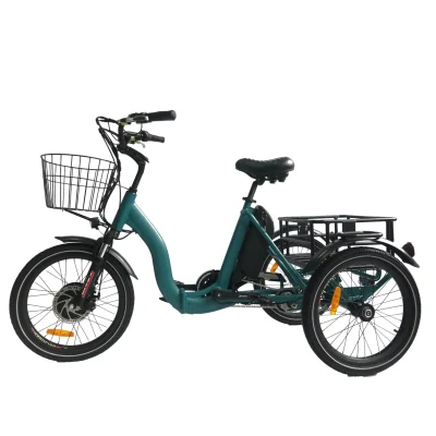 뜨거운 판매 도시 전기 Trike Foldable 3 바퀴 화물 자전거 36V/48V 리튬 배터리 전기 세발 자전거 성인 거리 작은 타이어 E Trike