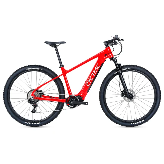 Bafang MID 드라이브 모터 16ah 리튬 배터리 Mountain E Bike Elektrofahrrad Dropship