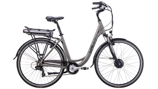 리튬 배터리를 갖춘 뜨거운 판매 고속 전기 도시 도로 자전거 Ebike