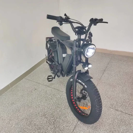 E Bike1000W 모터 더블 배터리 48V/22ah*2 오일 브레이크 풀 서스펜션 55kmh 고속 전기 팻바이크