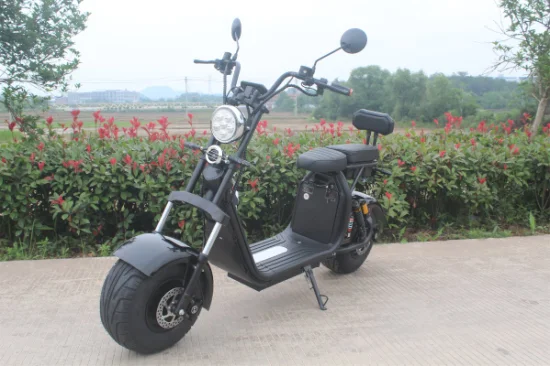 Fat Boy 고속 Widewheel Fronttasche Moto 1500 W 2000 W 3000 W Electrica Elektro-Motorrad Roller Citycoco